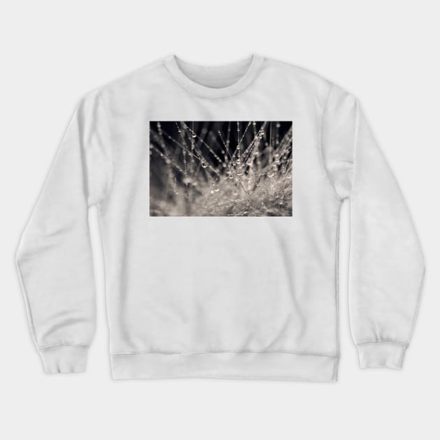 Wild Grass Abstract Crewneck Sweatshirt by micklyn